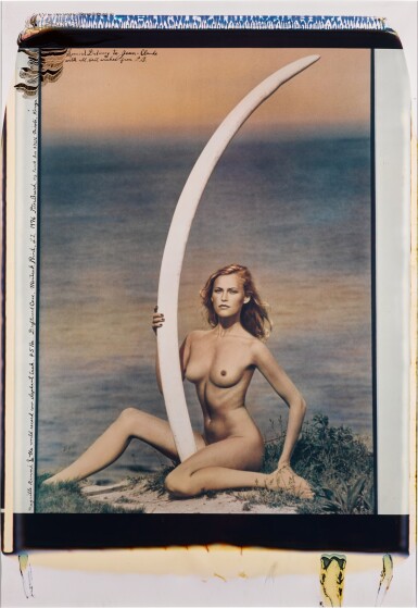 View full screen - View 1 of Lot 25. 'Magritte Rammé and World Record Cow Elephant Tusk', Montauk Point, 1976.