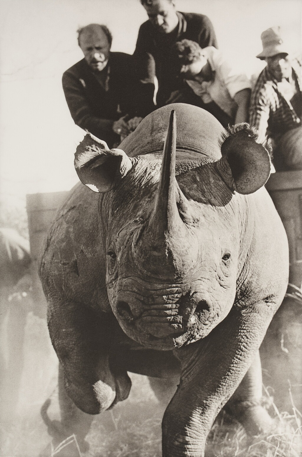 全萤幕检视 - 查看203'Rhino Roping with Ken Randall'的1