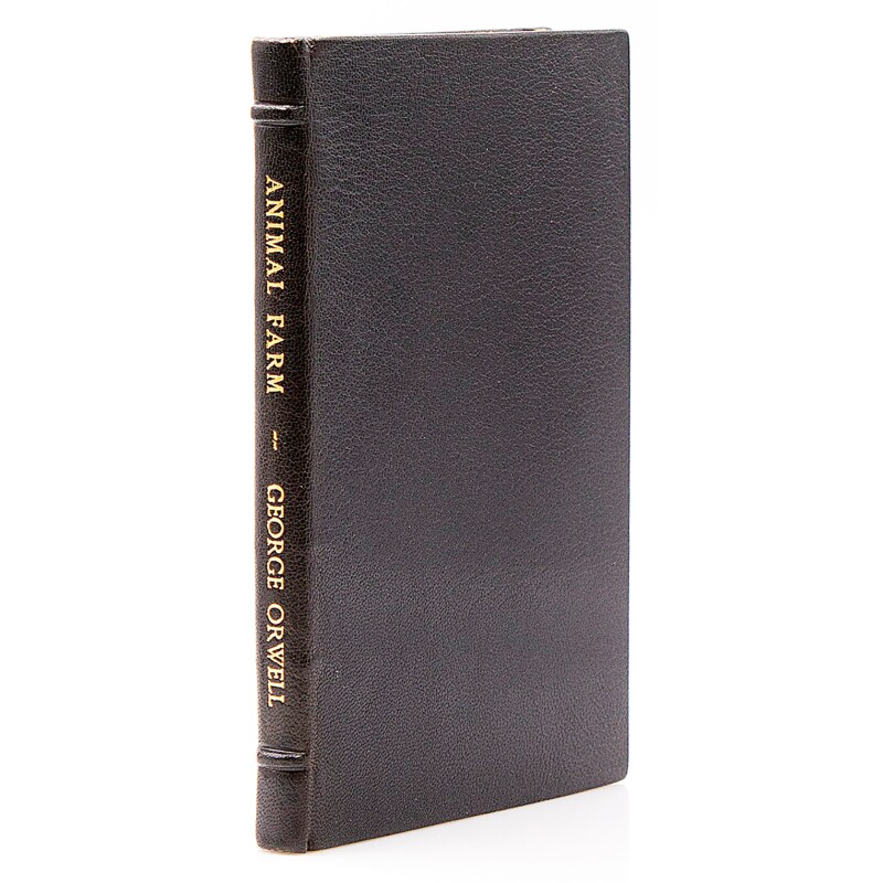 Cover image 0