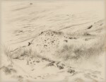 Dunes Truro