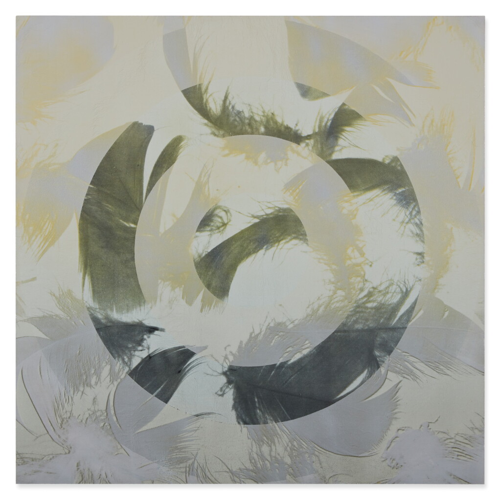 View full screen - View 1 of Lot 553. Untitled (Swan Lake Series).
