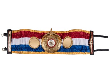 View full screen - View 1 of Lot 105. 2012 Super WBA Super Welterweight Championship Belt Presented To Floyd Mayweather After Defeating Miquel Cotto On May 5, 2012 (WBC LOA, Photomatched).
