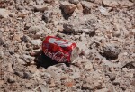 Coke Can, Belle Glade, FL