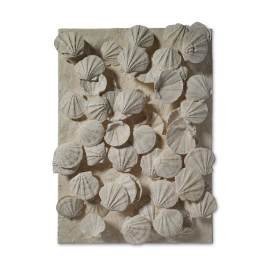 View full screen - View 1 of Lot 37. Large Mural of Fossilized Saint-Jacques Shells.