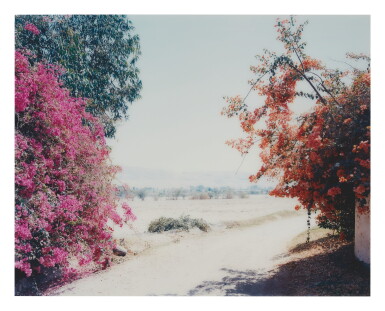 View full screen - View 1 of Lot 519. THOMAS STRUTH | HAZIENDA RIO PALPA, PALPA, PERU.