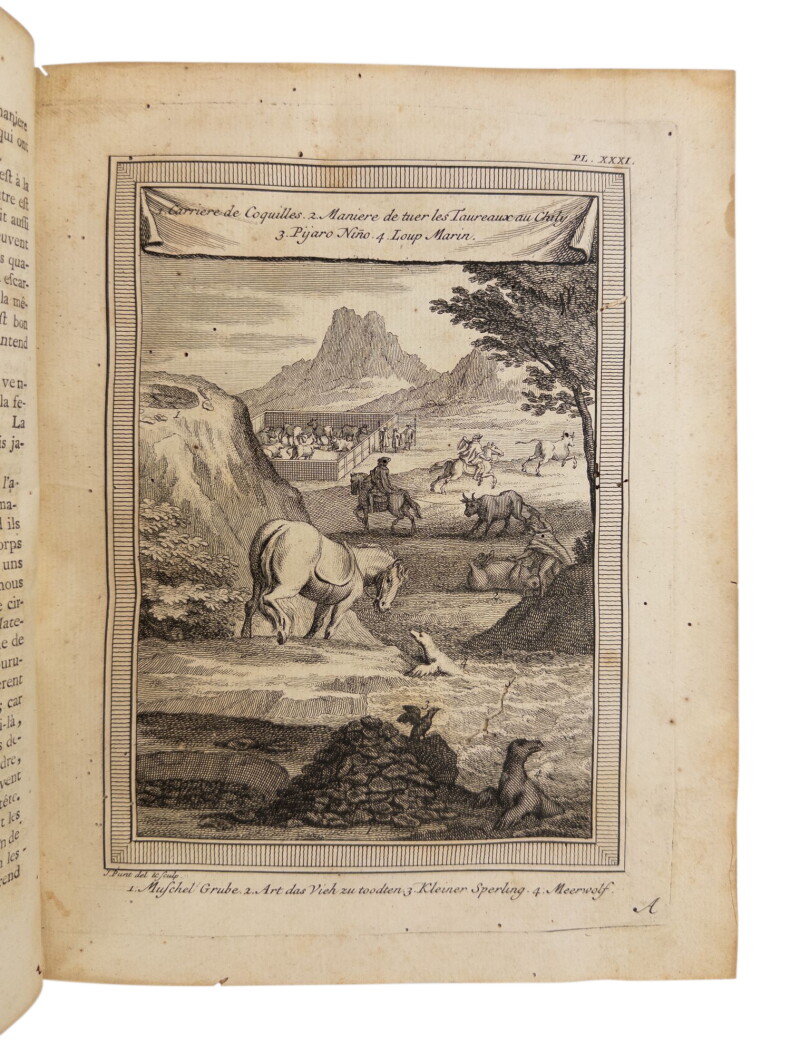 Cover image 0