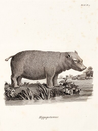 View full screen - View 1 of Lot 101. Sparrman | A voyage to the Cape of Good Hope, 1785, 2 volumes.