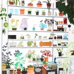 JONAS WOOD | LARGE SHELF STILL LIFE