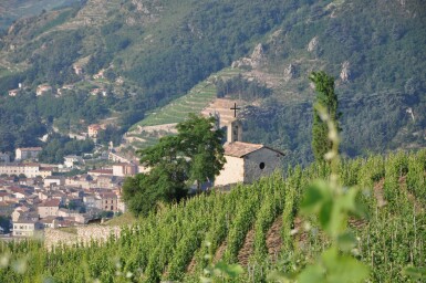 View full screen - View 1 of Lot 564. Hermitage, La Chapelle Blanc 2014 Paul Jaboulet Aîné (3 MAG).