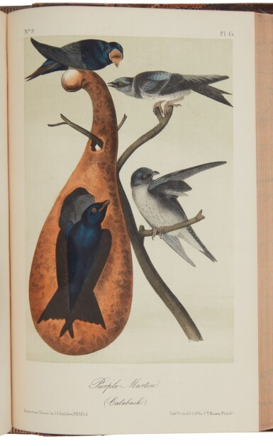 View full screen - View 1 of Lot 74. Audubon, John James | The last edition.