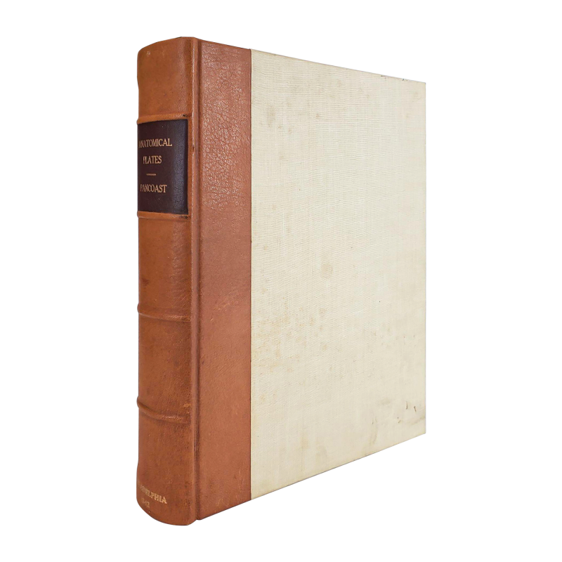 Cover image 0