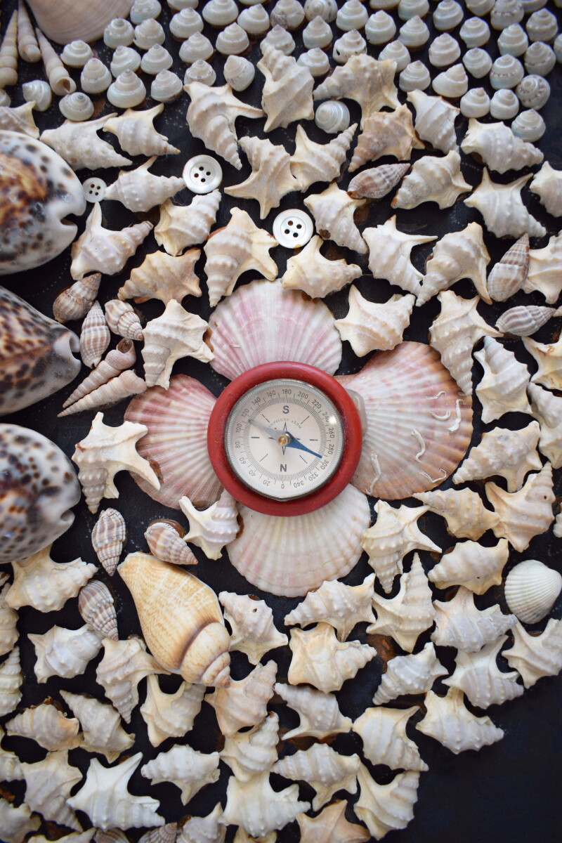 Cover image 0