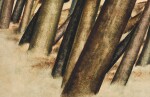 SOHRAB SEPEHRI | UNTITLED (FROM THE TREE TRUNKS SERIES)
