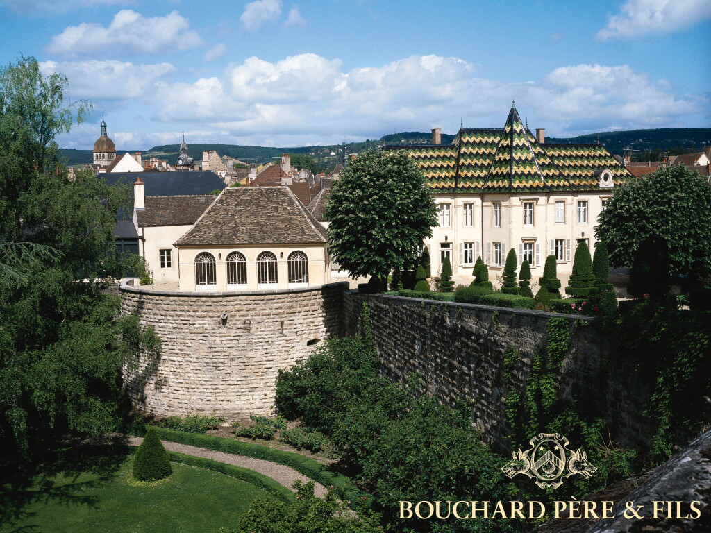 View full screen - View 1 of Lot 9085. La Romanée 2002 Bouchard Père et Fils (2 BT).