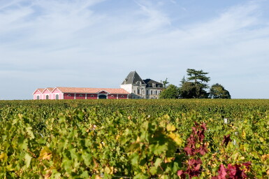 View full screen - View 1 of Lot 545. Château l'Evangile 2010 (6 BT).