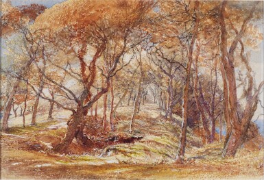 View full screen - View 1 of Lot 213. A woodland study - possibly Clovelly Park, Devon.