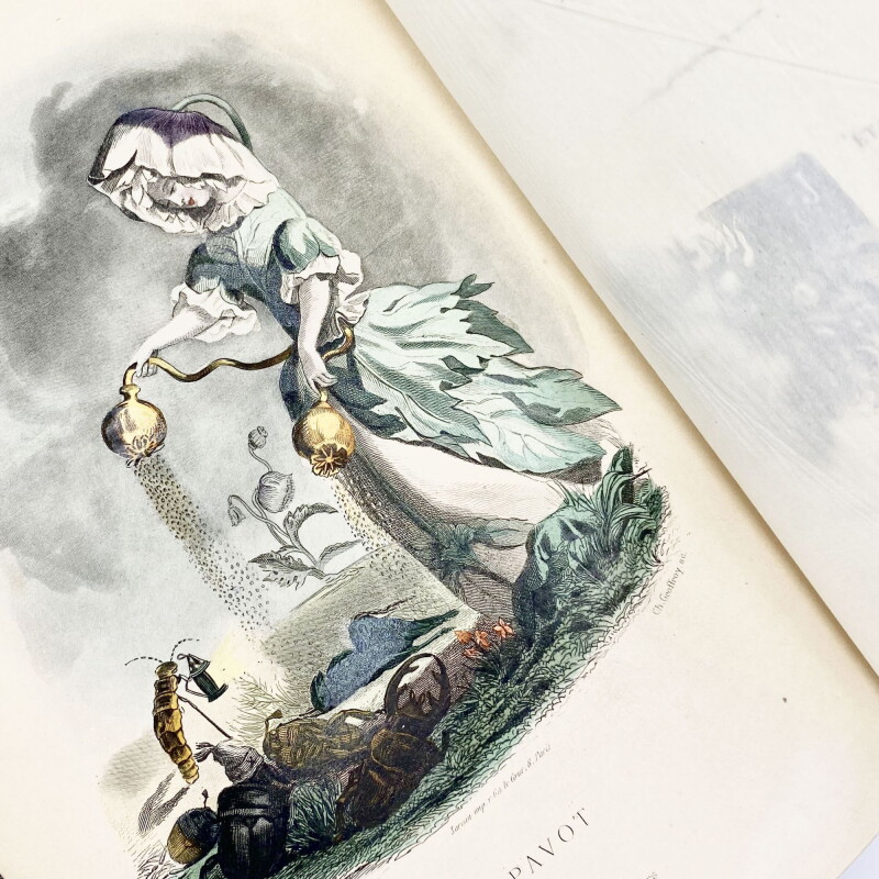 Cover image 0