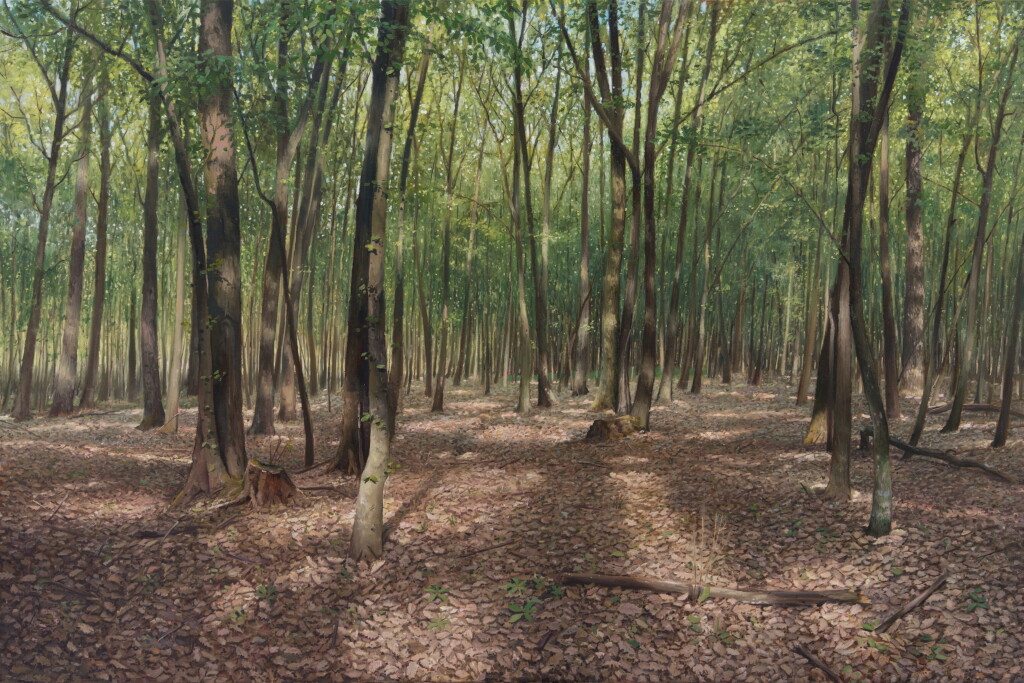 View full screen - View 1 of Lot 27. In the Beech forest.