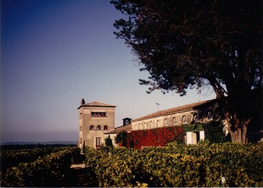 View full screen - View 1 of Lot 172. Château Rieussec 2010 (12 BT).