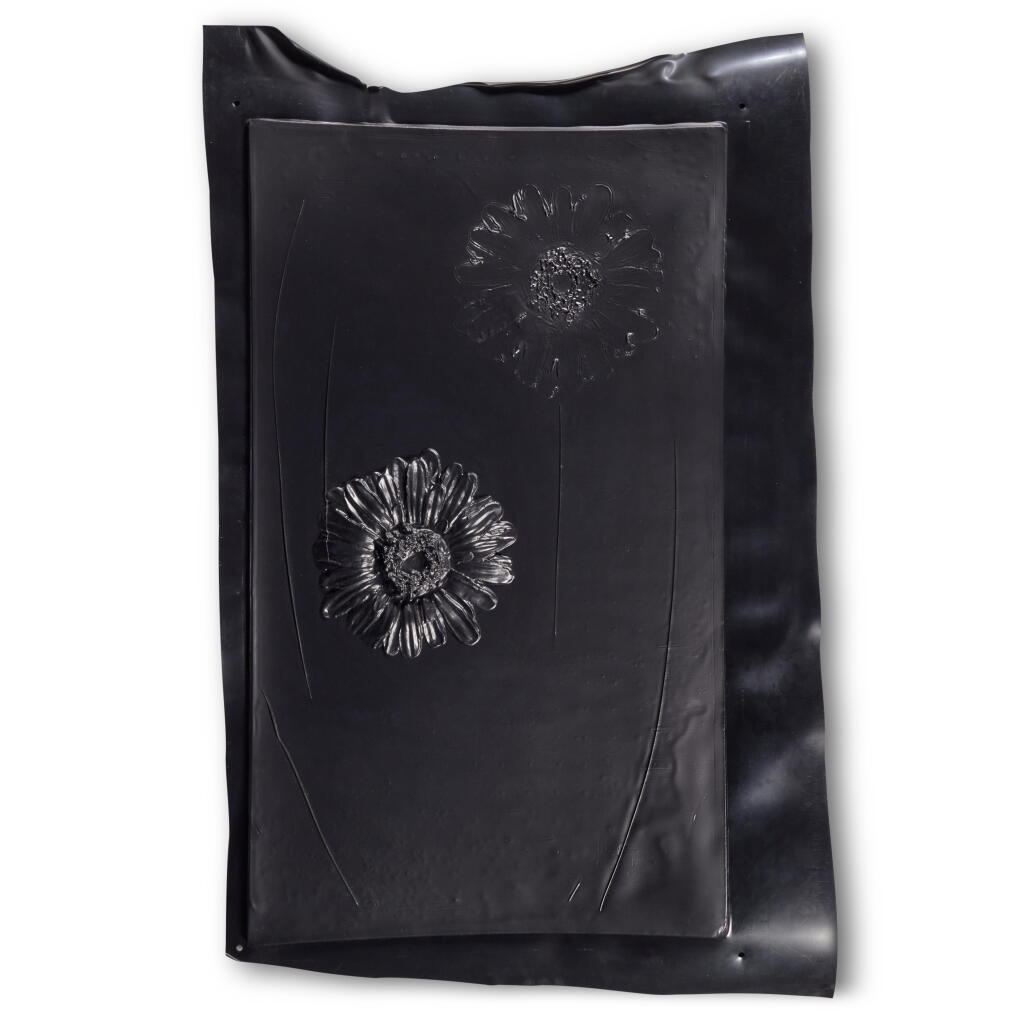 View full screen - View 1 of Lot 1040. Untitled (Double Black Flower).