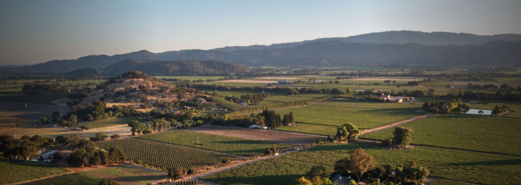 View full screen - View 1 of Lot 38. PlumpJack Winery, CADE Estate Winery, Odette Estate Winery | Imperial Trio .
