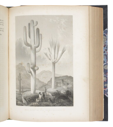 View full screen - View 1 of Lot 25. EMORY, WILLIAM H. | Report on the United States and Mexican Boundary Survey, Made Under the Direction of the Secretary of the Interior. Washington: A.O.P. Nicholson, 1857-1859.
