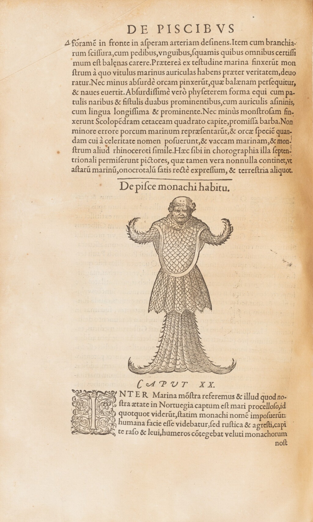 View full screen - View 1 of Lot 60. Libri de Piscibus Marinis.,1554-1555. Le premier grand livre d'ichthyologie français, en rel. de l'époque..