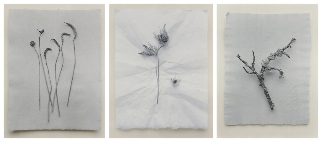 View full screen - View 1 of Lot 157. Still Life #9, 18, and 29 (3 photographs).