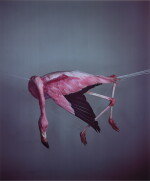 'Flamingo 3'