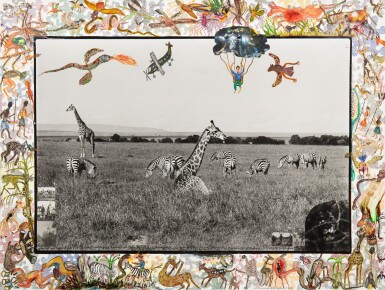 View full screen - View 1 of Lot 19. Giraffes and Zebras.