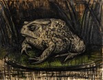 Crapaud sur un nénuphar