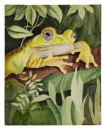 MAP TREE FROG