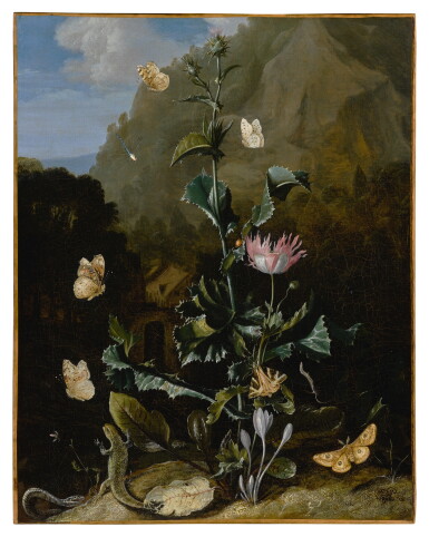 View full screen - View 1 of Lot 525. Still life of a thistle and other flowers surrounded by moths, a dragonfly, a lizard and a snake, in a landscape.
