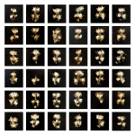 AI Imagined Faces