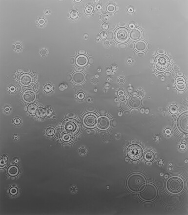 View full screen - View 1 of Lot 64. Untitled (Droplets).