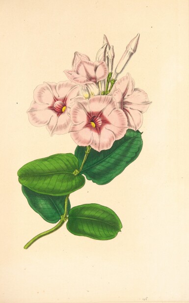 View full screen - View 1 of Lot 93. KARR. Voyage autour de mon jardin. Paris,1851. Grand in-8, demi-maroquin bleu (V. Champs)..