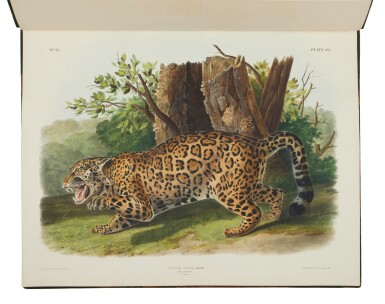 View full screen - View 1 of Lot 61. Audubon, John James, and James Bachman | Audubon's last great achievement.