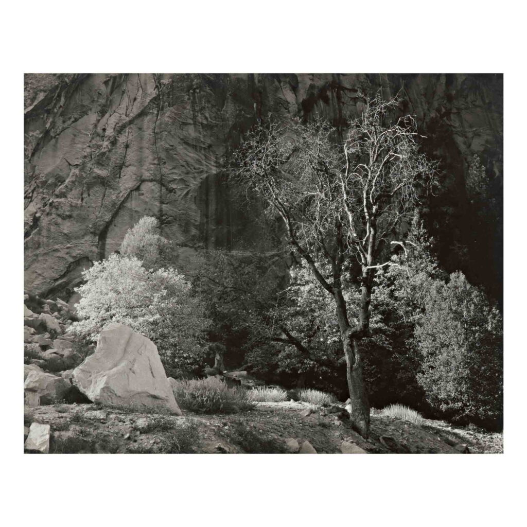 View full screen - View 1 of Lot 61. Boulder and Trees, Autumn, Yosemite Valley.