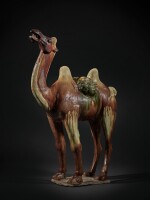 A sancai-glazed pottery figure of a camel, Tang dynasty | 唐 三彩駱駝