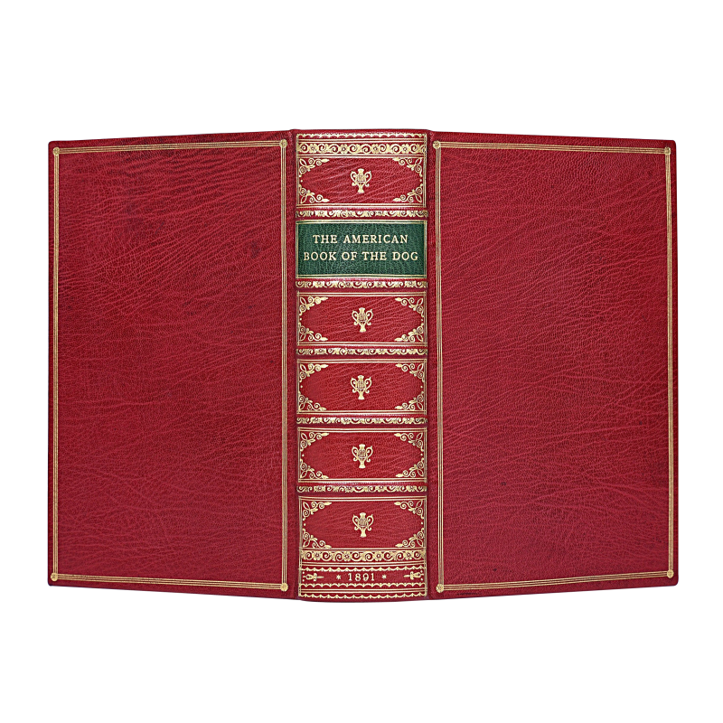 Cover image 0