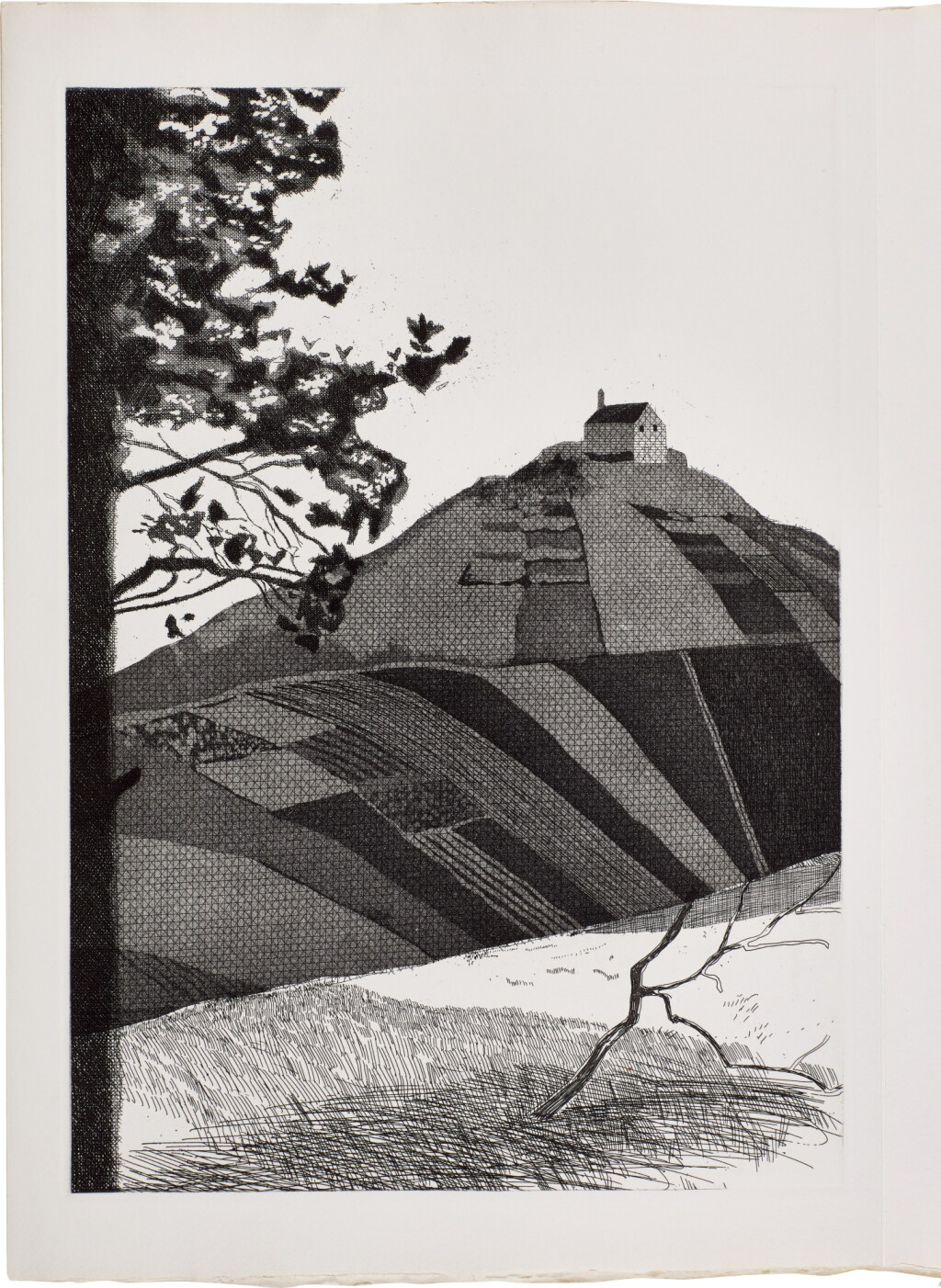 View full screen - View 1 of Lot 50. Fundevogel, from Six Fairy Tales from the Brothers Grimm.