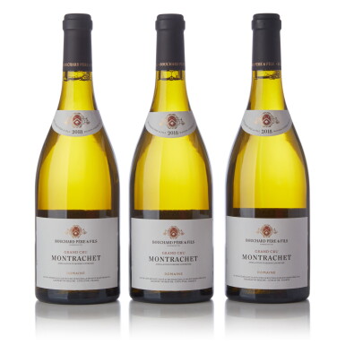 View full screen - View 1 of Lot 260. Montrachet 2018 Bouchard Père et Fils (3 BT).