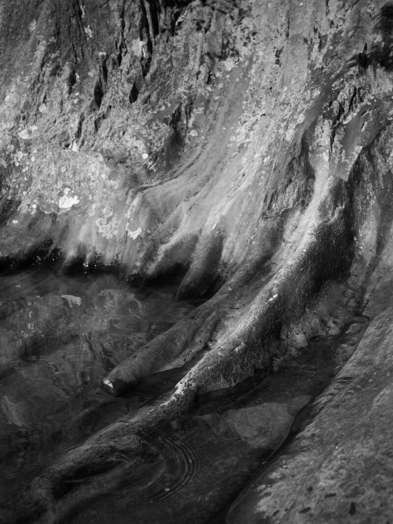 Cover image 0