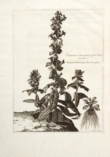 View full screen - View 1 of Lot 307. Denis Dodart | Memoires pour servir a l'histoire de plantes, 1676, red morocco with arms of Louis XIV.