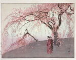 Yoshida Hiroshi (1876-1950) | Kumoi Cherry Trees (Kumoi sakura) | Taisho period, early 20th century