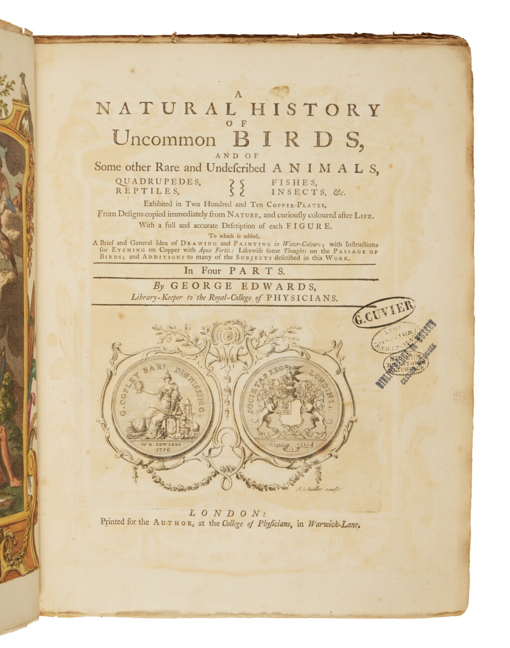 View full screen - View 1 of Lot 17. Edwards, George | Georges Cuvier’s set of George Edwards’ fine series of ornithological studies.