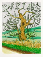 The Arrival of Spring in Woldgate, East Yorkshire in 2011 (twenty eleven) - 22 March