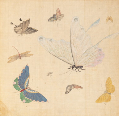 View full screen - View 1 of Lot 290. Study of butterflies, China, 19th century.