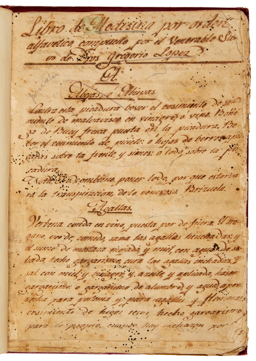 View full screen - View 1 of Lot 489. Lopez, Gregorio | Libro de Medisina, Mexico, late 17th century.