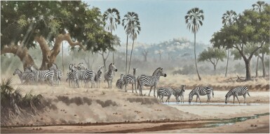 View full screen - View 1 of Lot 100. Zebra on the Mwagusi Sand River.